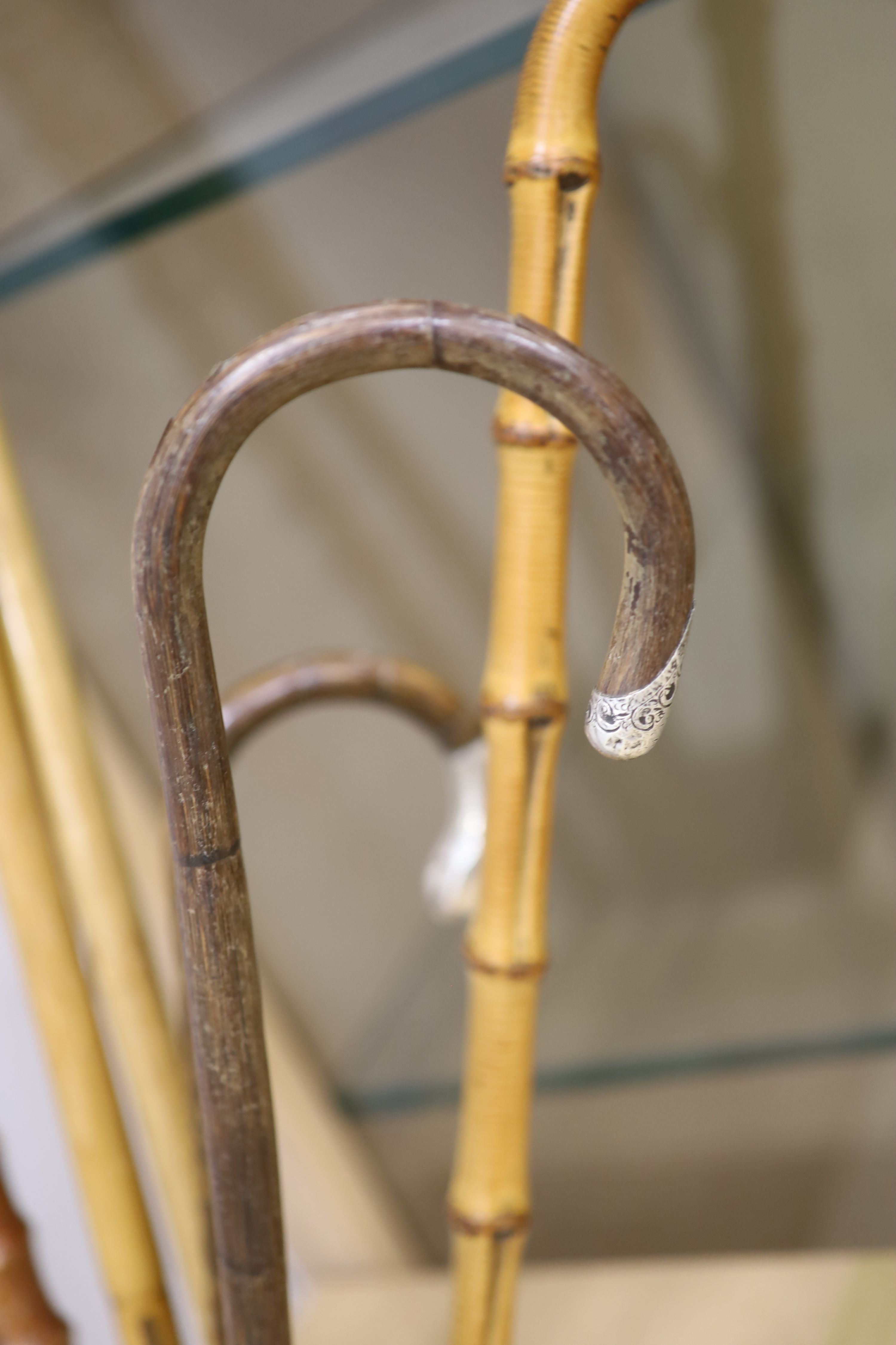A collection of 7 cane/bamboo and silver-mounted walking sticks